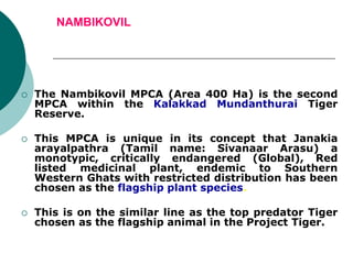 NAMBIKOVIL
 The Nambikovil MPCA (Area 400 Ha) is the second
MPCA within the Kalakkad Mundanthurai Tiger
Reserve.
 This MPCA is unique in its concept that Janakia
arayalpathra (Tamil name: Sivanaar Arasu) a
monotypic, critically endangered (Global), Red
listed medicinal plant, endemic to Southern
Western Ghats with restricted distribution has been
chosen as the flagship plant species.
 This is on the similar line as the top predator Tiger
chosen as the flagship animal in the Project Tiger.
 