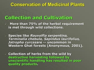 Conservation of Medicinal Plants
Collection and Cultivation
 More than 75% of the herbal requirement
is met through wild collections.
 Species like Rauvolfia serpentina,
Terminalia chebula, Sapindus laurifolius,
Jatropha curcasare -- uncommon in
Western Ghat forests (Anonymous, 2001).
 Collection of herbs from the wild by
destructive harvesting followed by
unscientific handling has resulted in poor
quality products.
 