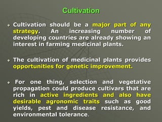 Cultivation
 Cultivation should be a major part of any
strategy. An increasing number of
developing countries are already showing an
interest in farming medicinal plants.
 The cultivation of medicinal plants provides
opportunities for genetic improvement.
 For one thing, selection and vegetative
propagation could produce cultivars that are
rich in active ingredients and also have
desirable agronomic traits such as good
yields, pest and disease resistance, and
environmental tolerance.
 
