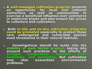  A well-managed cultivation program presents
an opportunity for local and national
authorities as well as communities to
exercise a beneficial influence over commerce
in medicinal plants and also ensure fair prices
to collectors and cultivators.
 Both in-situ and ex-situ cultivation programs
could be promoted especially to protect those
rare, endangered and vulnerable species
most threatened in their natural habitats.
 Investigations should be made into the
stability of each herbal product, taking into
account such practices as the effects of
sunlight, temperature, humidity, plant
husbandry, and packaging. But cultivation
may also exacerbate environmental
problems.
 