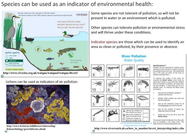 Conservation of Biodiversity (HL)