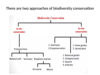 Conservation of Biodiversity nature.pptx