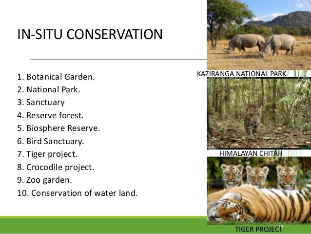 Conservation of biodiversity in india & endangered,endemic species of…