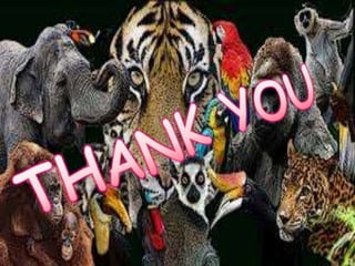 Conservation of eco system