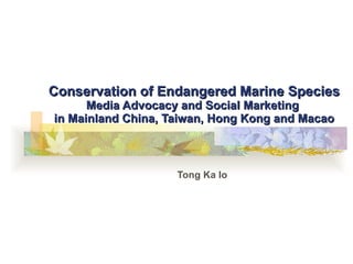 Conservation of Endangered Marine Species Media Advocacy and Social Marketing  in Mainland China, Taiwan, Hong Kong and Macao Tong Ka Io 