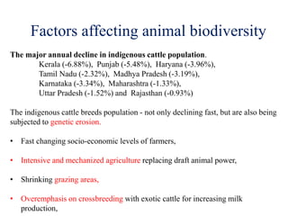 Conservation of farm animal genetic resources | PDF