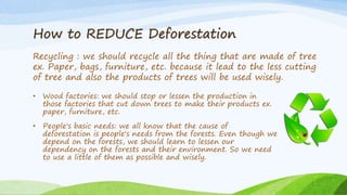 Conservation of Forest | PPTX