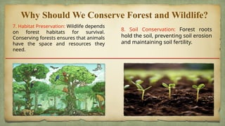 Conservation of forest and wildlife.pptx