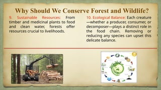 conservation-of-forest-and-wildlife-pptx