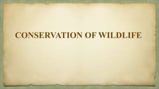 Conservation of forest and wildlife.pptx