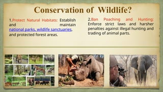 Conservation of forest and wildlife.pptx
