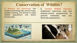 Conservation of forest and wildlife.pptx