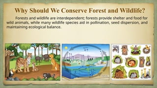 Conservation of forest and wildlife.pptx