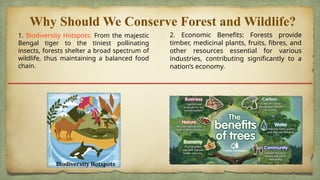 Conservation of forest and wildlife.pptx