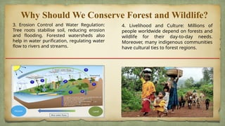 Conservation of forest and wildlife.pptx
