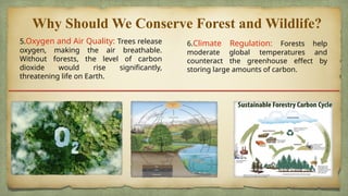 Conservation of forest and wildlife.pptx
