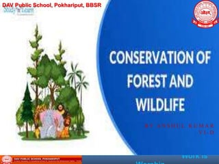 History of the Committee on Conservation of Forests and Wildlife