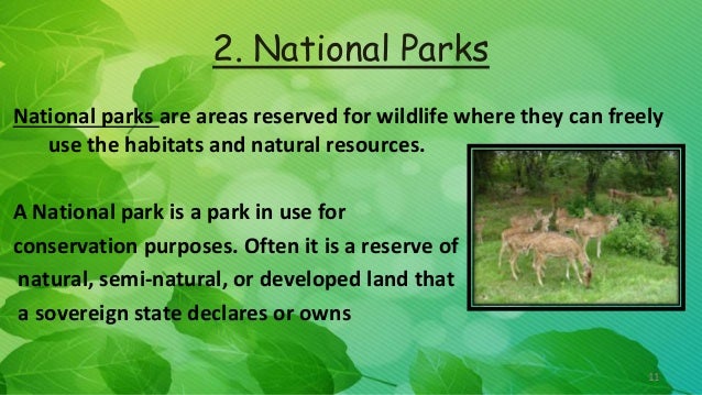 Conservation Of Wildlife And Forest Class 8 - 