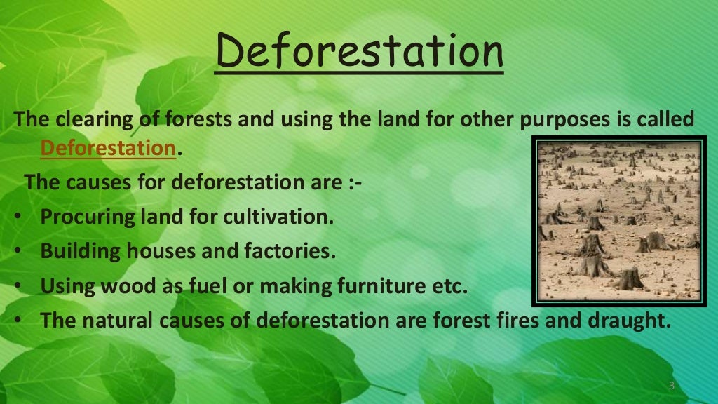 Conservation of wildlife and Forest (Class 8)