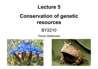 Lecture 5
Conservation of genetic
resources
BY2210
Trevor Hodkinson
 