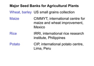 Major Seed Banks for Agricultural Plants
Wheat, barley US small grains collection
Maize CIMMYT, international centre for
maize and wheat improvement,
Mexico
Rice IRRI, international rice research
institute, Philippines
Potato CIP, international potato centre,
Lima, Peru
 