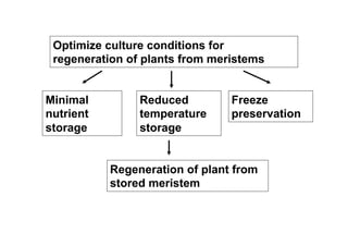 Optimize culture conditions for
regeneration of plants from meristems
Minimal
nutrient
storage
Reduced
temperature
storage
Freeze
preservation
Regeneration of plant from
stored meristem
 