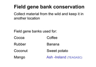 Field gene bank conservation
Collect material from the wild and keep it in
another location
Field gene banks used for:
Cocoa Coffee
Rubber Banana
Coconut Sweet potato
Mango Ash -Ireland (TEAGASC)
 