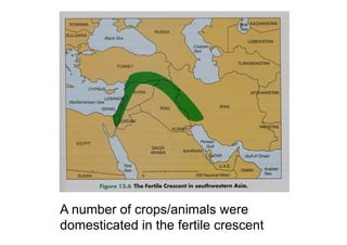 A number of crops/animals were
domesticated in the fertile crescent
 