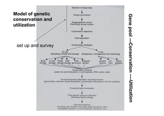 Genepool---Conservation----Utilization
Model of genetic
conservation and
utilization
set up and survey
 