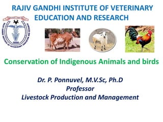 RAJIV GANDHI INSTITUTE OF VETERINARY
EDUCATION AND RESEARCH
Dr. P. Ponnuvel, M.V.Sc, Ph.D
Professor
Livestock Production and Management
Conservation of Indigenous Animals and birds
 