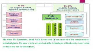 “
”
The states like Karnataka, Tamil Nadu, Kerala and UP are involved in the conservation of
medicinal plants. The most widely accepted scientific technologies of biodiversity conservation
are the in-situ and ex-situ methods.
12
 