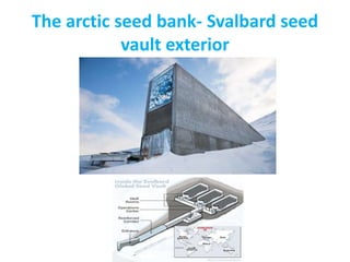 The arctic seed bank- Svalbard seed
vault exterior
 