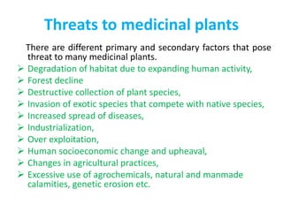 Threats to medicinal plants
There are different primary and secondary factors that pose
threat to many medicinal plants.
 Degradation of habitat due to expanding human activity,
 Forest decline
 Destructive collection of plant species,
 Invasion of exotic species that compete with native species,
 Increased spread of diseases,
 Industrialization,
 Over exploitation,
 Human socioeconomic change and upheaval,
 Changes in agricultural practices,
 Excessive use of agrochemicals, natural and manmade
calamities, genetic erosion etc.
 