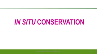 IN SITU CONSERVATION
Preparedforacademic purpose only 18
 