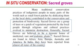 IN SITU CONSERVATION: Sacred groves
Preparedforacademic purpose only 30
 