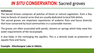 IN SITU CONSERVATION: Sacred groves
Preparedforacademic purpose only 31
Definition:
The Sacred Groves comprises of patches of forest or natural vegetation- from a few
trees to forests of several acres-that are usually dedicated to local folk deities.
The sacred groves are important repositories of endemic flora and fauna diversity
that have conserved by local communities in a sustainable manner.
The groves are often associated with ponds; streams or springs which help meet the
water requirements of the local people.
It also helps in the recharging the aquifers. This is a directly leads to protection of
aquatic flora and fauna.
Example - Khecheoprai Lake in Sikkim.
 