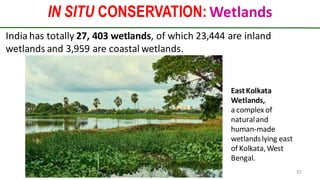 IN SITU CONSERVATION: Wetlands
Preparedforacademic purpose only 37
India has totally 27, 403 wetlands, of which 23,444 are inland
wetlands and 3,959 are coastal wetlands.
EastKolkata
Wetlands,
a complex of
naturaland
human-made
wetlandslying east
of Kolkata,West
Bengal.
 
