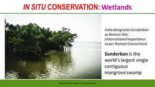 IN SITU CONSERVATION: Wetlands
Preparedforacademic purpose only 38
IndiadesignatesSundarban
asRamsar Site:
(internationalimportance
asper RamsarConvention)
Sunderban is the
world's largest single
contiguous
mangrove swamp
 