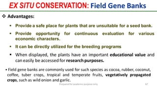 EX SITU CONSERVATION: Field Gene Banks
Preparedforacademic purpose only 67
 Advantages:
 Provide a safe place for plants that are unsuitable for a seed bank.
 Provide opportunity for continuous evaluation for various
economic characters.
 It can be directly utilized for the breeding programs
 When displayed, the plants have an important educational value and
can easily be accessed for researchpurposes.
• Field gene banks are commonly used for such species as cocoa, rubber, coconut,
coffee, tuber crops, tropical and temperate fruits, vegetatively propagated
crops, such as wild onion and garlic.
 
