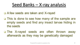 Preparedforacademic purpose only 77
 A few seeds are taken and X-rayed
 This is done to see how many of the sample are
empty seeds and find any insect larvae hiding in
the seeds
 The X-rayed seeds are often thrown away
afterwards as they may be genetically damaged
Seed Banks – X-ray analysis
 