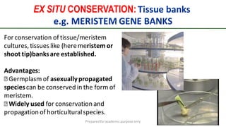 Preparedforacademic purpose only 81
For conservation of tissue/meristem
cultures,tissueslike (heremeristemor
shoot tip)banksare established.
Advantages:
Germplasm of asexuallypropagated
speciescan be conserved in the form of
meristem.
Widely used for conservation and
propagation of horticulturalspecies.
EX SITU CONSERVATION: Tissue banks
e.g. MERISTEM GENE BANKS
 