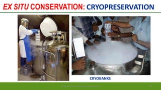 EX SITU CONSERVATION: CRYOPRESERVATION
Preparedforacademic purpose only 86
CRYOBANKS
 