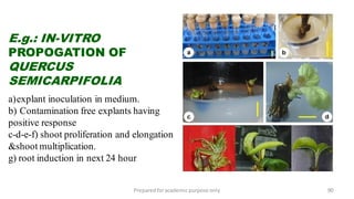 Preparedforacademic purpose only 90
E.g.: IN-VITRO
PROPOGATION OF
QUERCUS
SEMICARPIFOLIA
a)explant inoculation in medium.
b) Contamination free explants having
positive response
c-d-e-f) shoot proliferation and elongation
&shoot multiplication.
g) root induction in next 24 hour
 