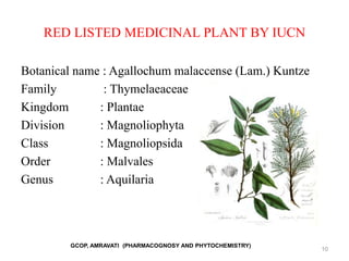 RED LISTED MEDICINAL PLANT BY IUCN
Botanical name : Agallochum malaccense (Lam.) Kuntze
Family : Thymelaeaceae
Kingdom : Plantae
Division : Magnoliophyta
Class : Magnoliopsida
Order : Malvales
Genus : Aquilaria
GCOP, AMRAVATI (PHARMACOGNOSY AND PHYTOCHEMISTRY)
10
 
