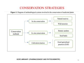 CONSERVATION STRATEGIES
19
GCOP, AMRAVATI (PHARMACOGNOSY AND PHYTOCHEMISTRY)
 