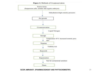 GCOP, AMRAVATI (PHARMACOGNOSY AND PHYTOCHEMISTRY) 20
 