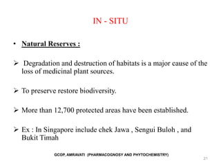 IN - SITU
• Natural Reserves :
 Degradation and destruction of habitats is a major cause of the
loss of medicinal plant sources.
 To preserve restore biodiversity.
 More than 12,700 protected areas have been established.
 Ex : In Singapore include chek Jawa , Sengui Buloh , and
Bukit Timah
GCOP, AMRAVATI (PHARMACOGNOSY AND PHYTOCHEMISTRY)
21
 