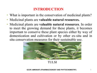 INTRODUCTION
• What is important in the conservation of medicinal plants?
• Medicinal plants are valuable natural resources.
• Medicinal plants are valuable natural resources. In order
to meet the growing demand for these plants, it becomes
important to conserve these plant species either by way of
domestication and cultivation or by other ex-situ and in
situ conservation measures for their sustainable use.
TULSI
3
GCOP, AMRAVATI (PHARMACOGNOSY AND PHYTOCHEMISTRY)
 