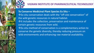 VIGNAN INSTITUTE OF PHARMACEUTICAL TECHNOLOGY
To Conserve Medicinal Plant Species Ex Situ –
Ex-situ conservation deals with the “off-site conservation” of
the wild genetic resources in natural habitat.
It includes the collection, preservation and maintenance of
certain genetic resources from wild.
Ex-situ method of conservation is a complementary action to
conserve the genetic diversity, thereby reducing pressure on
wild environments and enhancing raw material availability.
 