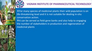 VIGNAN INSTITUTE OF PHARMACEUTICAL TECHNOLOGY
For many species of medicinal plants their wild population is on
life-threatening level and it is not suitable for dealing in-situ
conservation action.
It can be served as field gene banks and also help to engaging
the number of stakeholders in production and regeneration of
medicinal plants
 